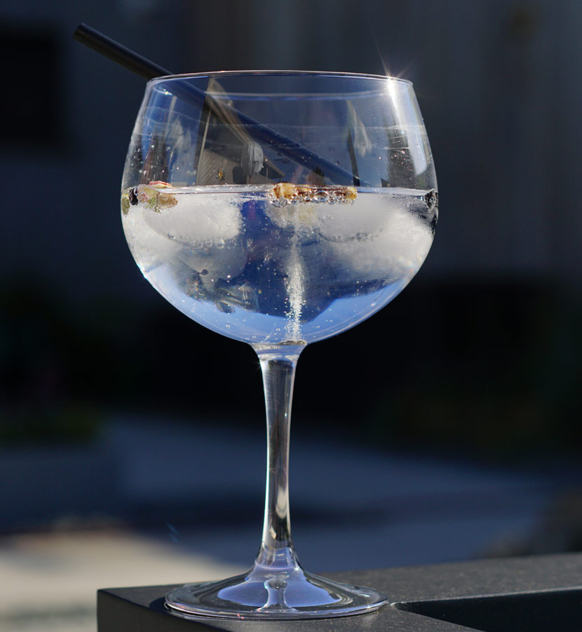 gin-tonic-glas